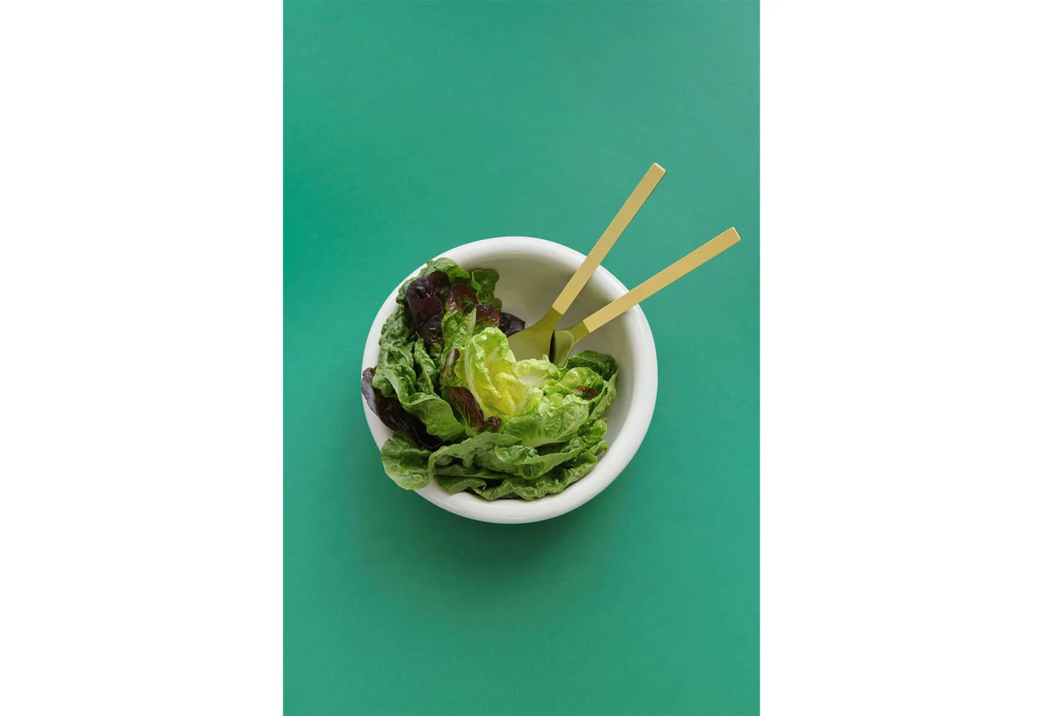 Barro Salad Bowl