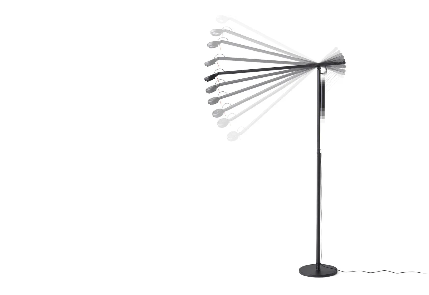 Fifty-Fifty Floor Lamp