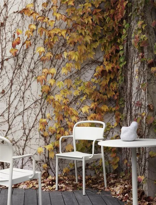 Linear Steel Arm Chairs, Off White